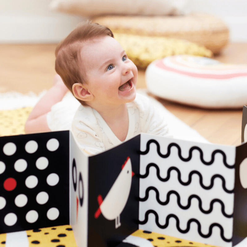 High Contrast Baby Pack 0+/3m+/6m+, Banana Panda - O Gato das Fraldas