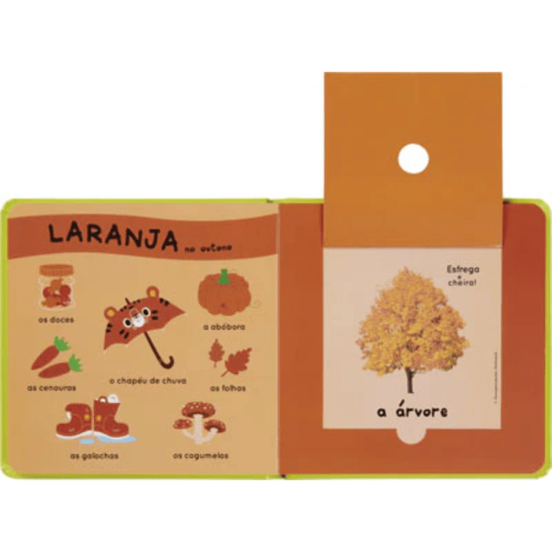 Livro - As Estações do Ano - O Meu Livro de Cheiros e Cores - O Gato das Fraldas