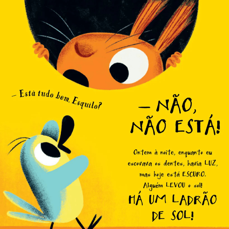 Livro - O Ladrão de Sol - O Gato das Fraldas