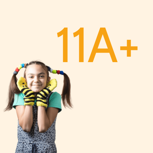 11A+ - O Gato das Fraldas
