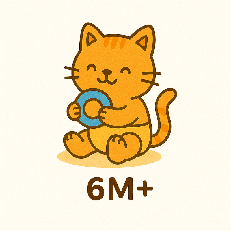 6M+