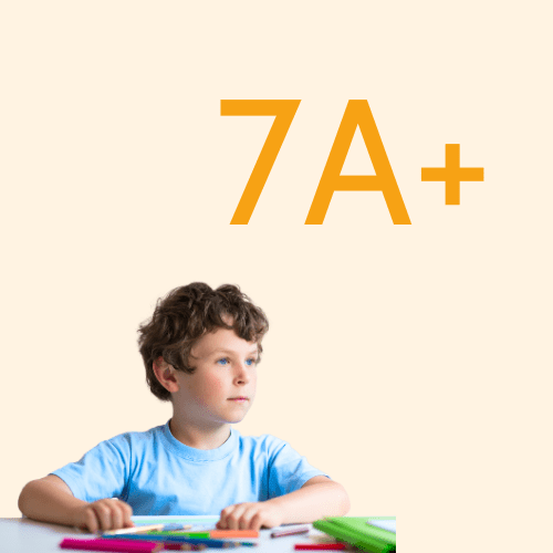 7A+ - O Gato das Fraldas
