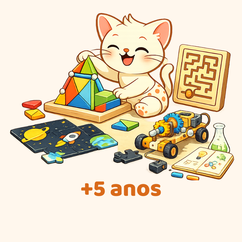 Brinquedos educativos 5+