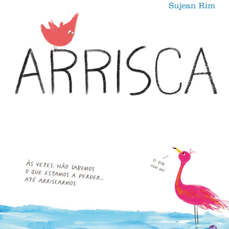 Livro - Arrisca