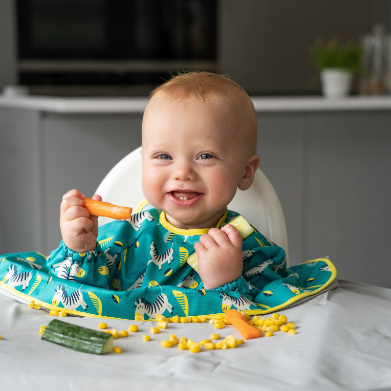 Babete Impermeável Tidy Tot 6M–2A