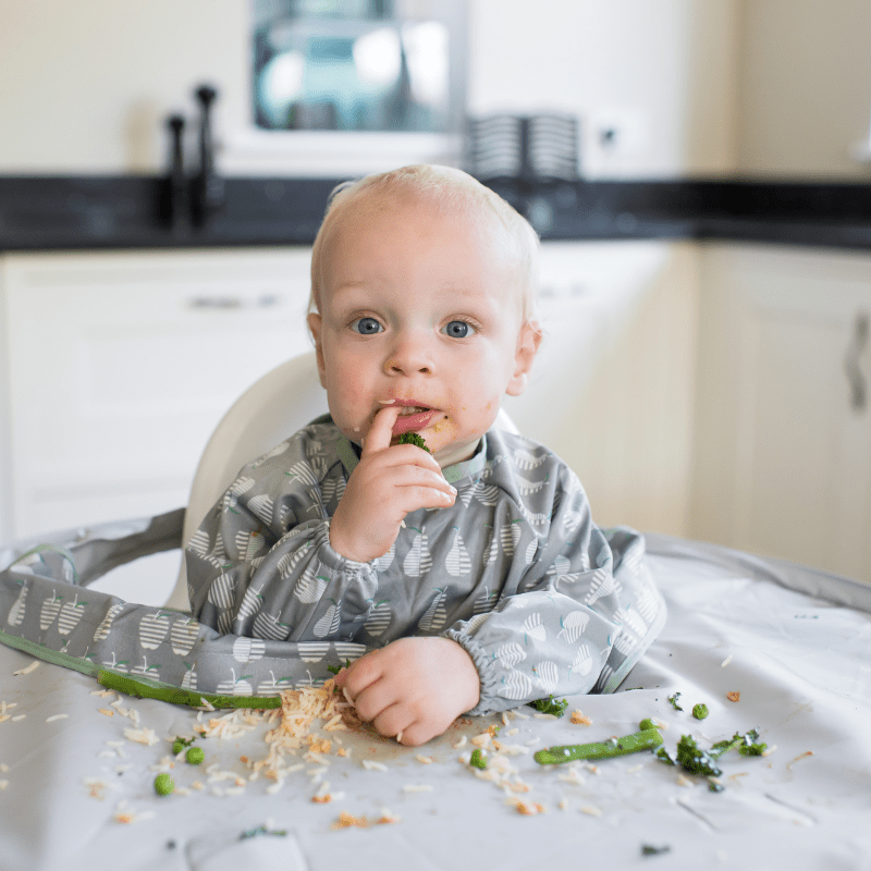 Kit Babete e Tabuleiro para BLW, Tidy Tot - O Gato das Fraldas