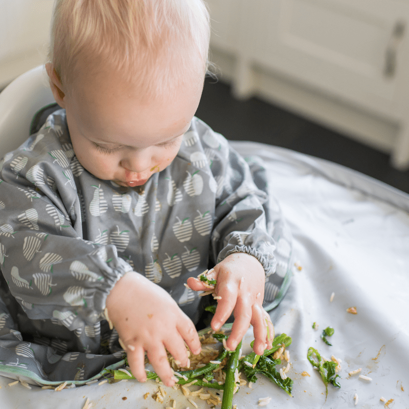Kit Babete e Tabuleiro para BLW, Tidy Tot - O Gato das Fraldas