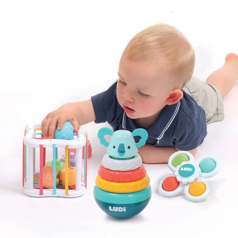 Kit Desenvolvimento Sensorial Bebé 10M+ Ludi