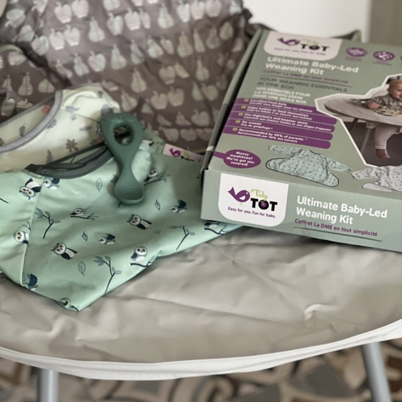 Kit Tidy Tot Tabuleiro + Babetes + Colher