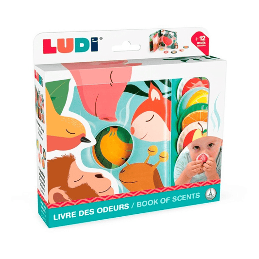 Livro de cheiros - Fruta, Ludi - O Gato das Fraldas